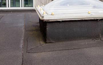 disadvantages of Nether End flat roofs