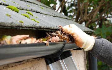 gutter cleaning Nether End