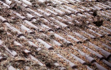 Nether End roof cleaning companies