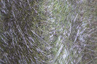 Nether End fibreglass roof work